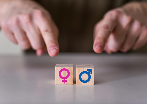 Gender and Identity Studies